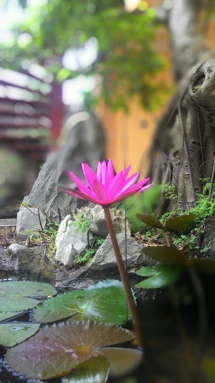 Tam Coc Green Homestay นิญบิ่ญ ภายนอก รูปภาพ
